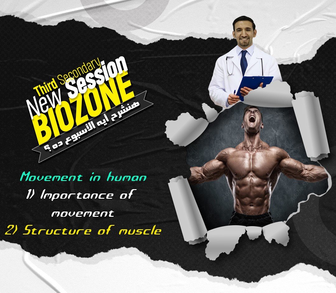 2026 - 3 - lecture (5) الشرح